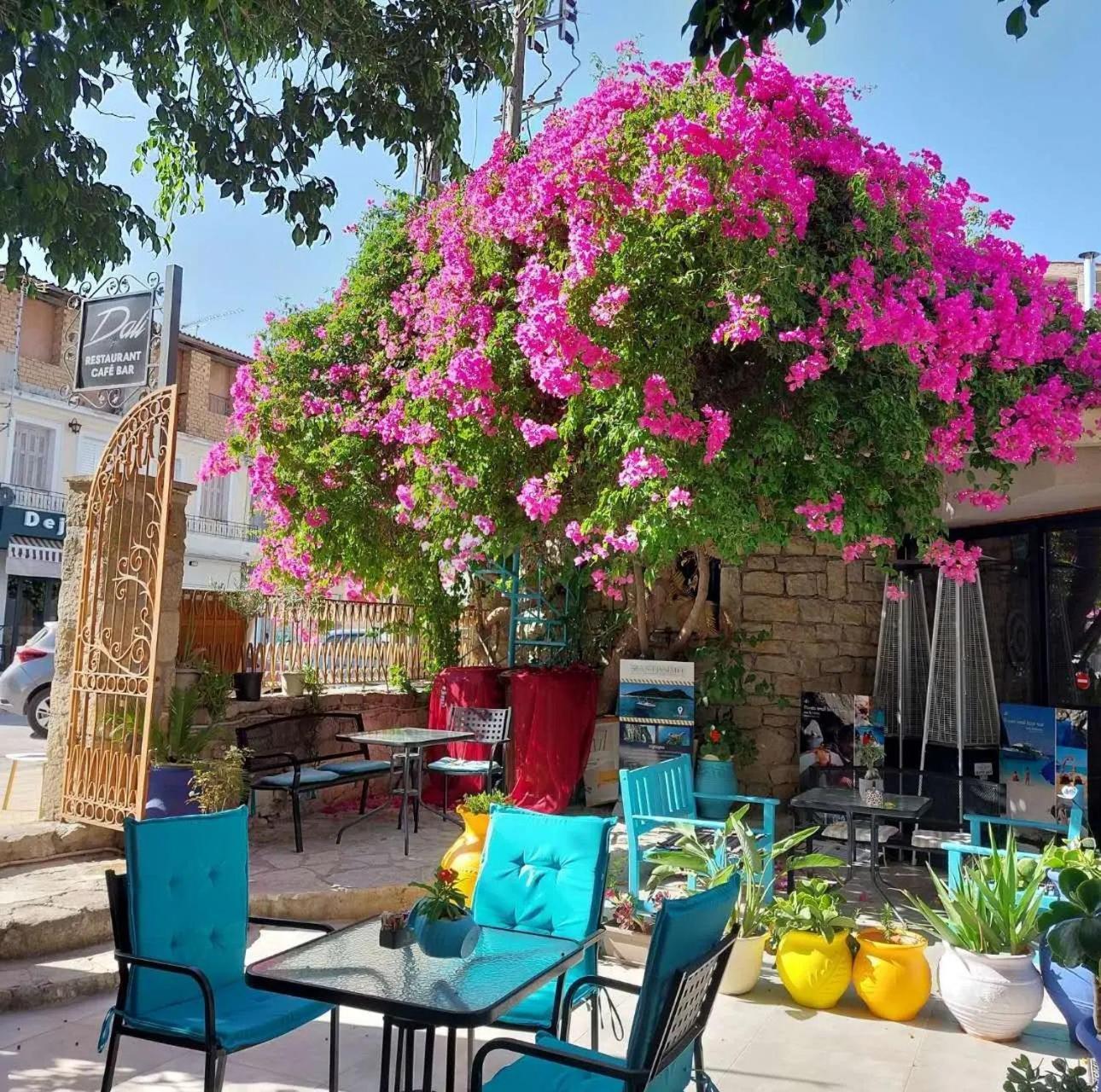 Amina Apartments مدينة زاكينثوس المظهر الخارجي الصورة